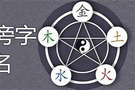 硨磲 五行|磲字五行属什么